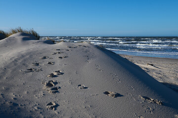 Wydma Czołpińska ze śladami stóp na piasku. W tle spienione sztormem morze. Słoneczny dzień, zima.