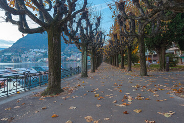 Morning view of promenade in Lugano city, with trees in autumn colors, Lugano, Ticino, Switzerland