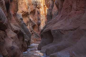 Scenic Willis Creek Slot Canyon Landscape in the Grand Staircase - Escalante National Monument Utah in Winter