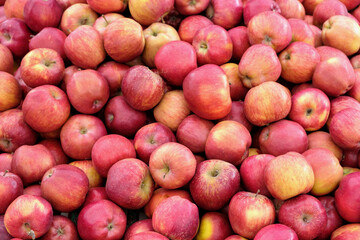 Full frame shot of red apples. Fresh red apples from village