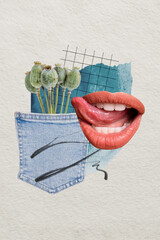 Vertical creative collage image of sexy female lips lick tongue poppy flower pocket denim weird...