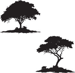 Tree silhouettes  - obrazy, fototapety, plakaty