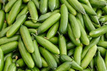 Cucumbers top view, vegetables harvest, food background, place for text