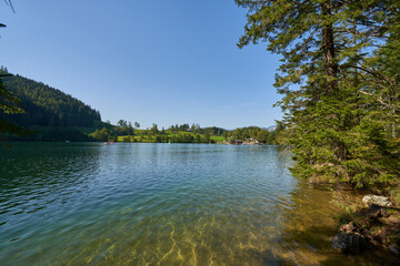 Gleinkersee in the beautiful nature of upper Austria
