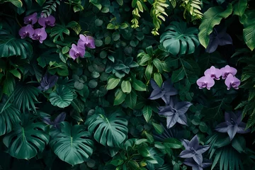 Poster Green creeper, vine or ivy, purple or violet orchid Giant Philodendron, and Monstera leaves and flower wall for background. Natural wallpaper or Nature pattern. Freshness season concept © Ahtesham