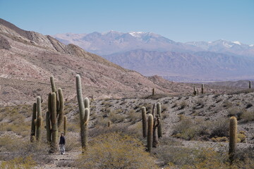 Paisajes argentinos del norte