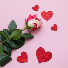 A rose and decorative hearts on a pink background, a Valentine or a greeting card, a symbol of love, square photo