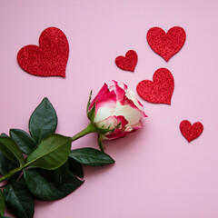 A rose and decorative hearts on a pink background, a Valentine or a greeting card, a symbol of love, square photo