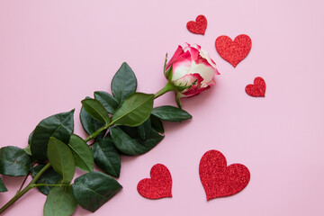 A rose and decorative hearts on a pink background, a Valentine or a greeting card, a symbol of love, copy space