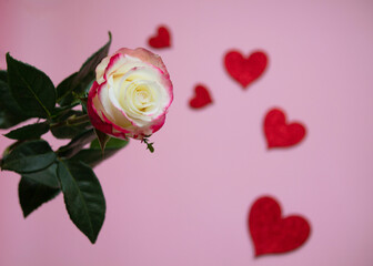 A rose and decorative hearts on a pink background, a Valentine or a greeting card, a symbol of love, copy space