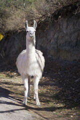 Paisajes argentinos del norte