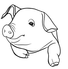 Cute pig head vector outline illustration