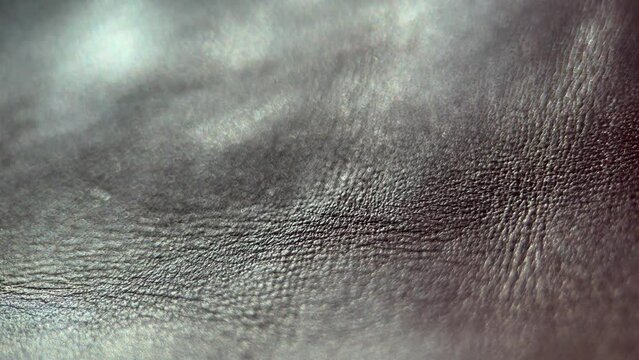 Macro Black Skin Texture, Slider Shot