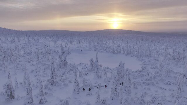 Sky view of hikers cross-country skiing in finnish Lapland