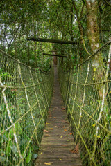 A suspension bridge in the middle of the Atlantic Forest canopy in the privately protected Parque das Neblinas area, which has forest trails and adventure attractions for children and adults.