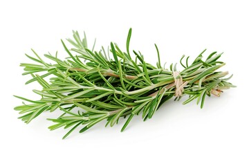 Rosemary bunch isolated on white background