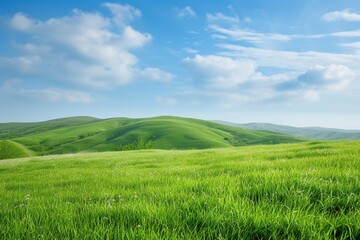 Fototapeta premium Landscape of green grass on slope with blue sky