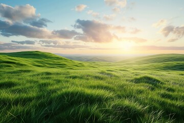 Fototapeta na wymiar Landscape of green grass on slope with blue sky and sunrise
