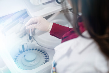 Unrecognizable female scientist preparing tubes for analysis in centrifuge.
