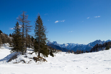 Fototapeta na wymiar Dolomites landscape in Alleghe area, Italian alps