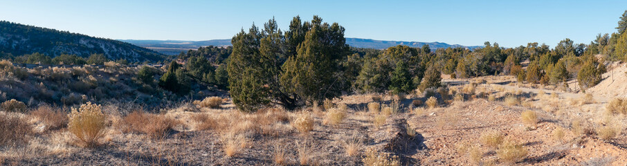 New Mexico High Desert