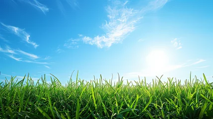 Fotobehang Green grass on blue clear sky, spring nature theme. Panorama, generative ai © Matan