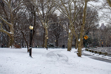 winter snow in Central Park