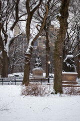 winter in the park