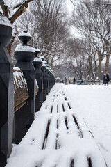 snow covered bench in the park
