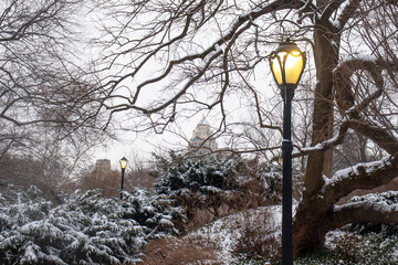 winter snow in Central Park