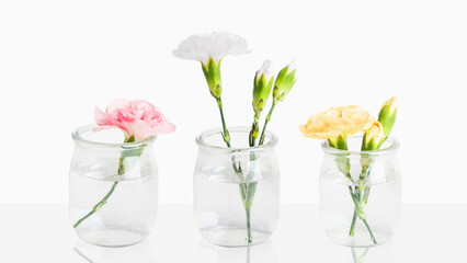 Delicate flowers in small vases. On a light background with empty space