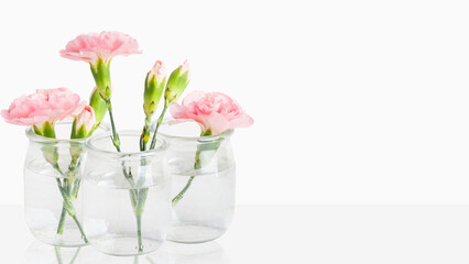 Delicate pink flowers in small vases. On a light background with empty space