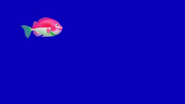  whale fish swims blue background