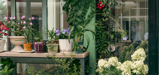 Flowers in the garden