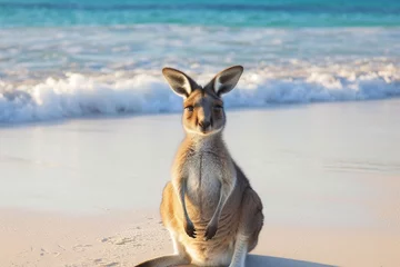 Fotobehang A majestic marsupial, the kangaroo, basks in the warm sun on the sandy shore, taking in the calming sounds of the water and the beauty of the great outdoors © Pinklife