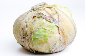 Rotten cabbage isolated on white background