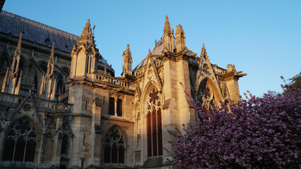 Catedral Notre-Dame de Paris in  the spring - obrazy, fototapety, plakaty