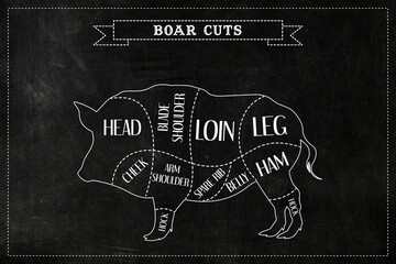 Butchers diagram guide for cutting wild boar.
