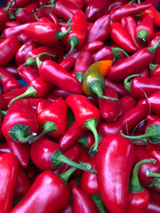 Deep red Jalapeño peppers