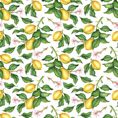 Watercolor illustration of a pattern of yellow ripe lemons with green leaves and flowers. Isolated on a white background. Compositions for weddings, posters, cards, banners, flyers, covers, placards