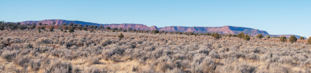 High Desert Landscape