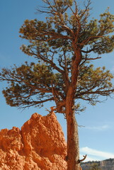 USA Bryce Canyon
