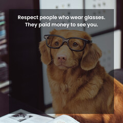 Resspect people who wear glasses, they paid money to see you. Funny memes, Funy Sayings.