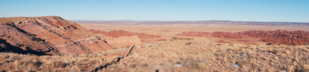 Desert Vastness