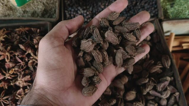 closeup of man hand showing black cardamom from a bin or sack