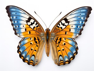 Fototapeta premium Exotic Butterfly Specimen Nature Isolated on White Background AI Generated