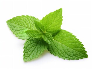 Fresh Mint Leaf Herbal Organic Isolated on White Background AI Generated