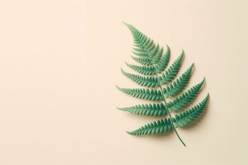 Fern branch on light background. Space for text.