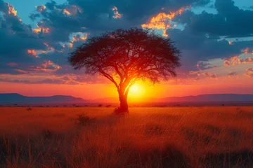 Rolgordijnen A vivid sunset over a savannah, casting warm hues across the grasslands and revealing the magical allure of twilight in the wild. Concept of the African wilderness. Generative Ai. © Sebastian