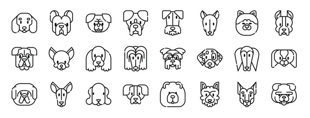 set of 24 outline web dogs icons such as dachshund, french bulldog, pug, boxer, airedale terrier, greyhound, akita vector icons for report, presentation, diagram, web design, mobile app